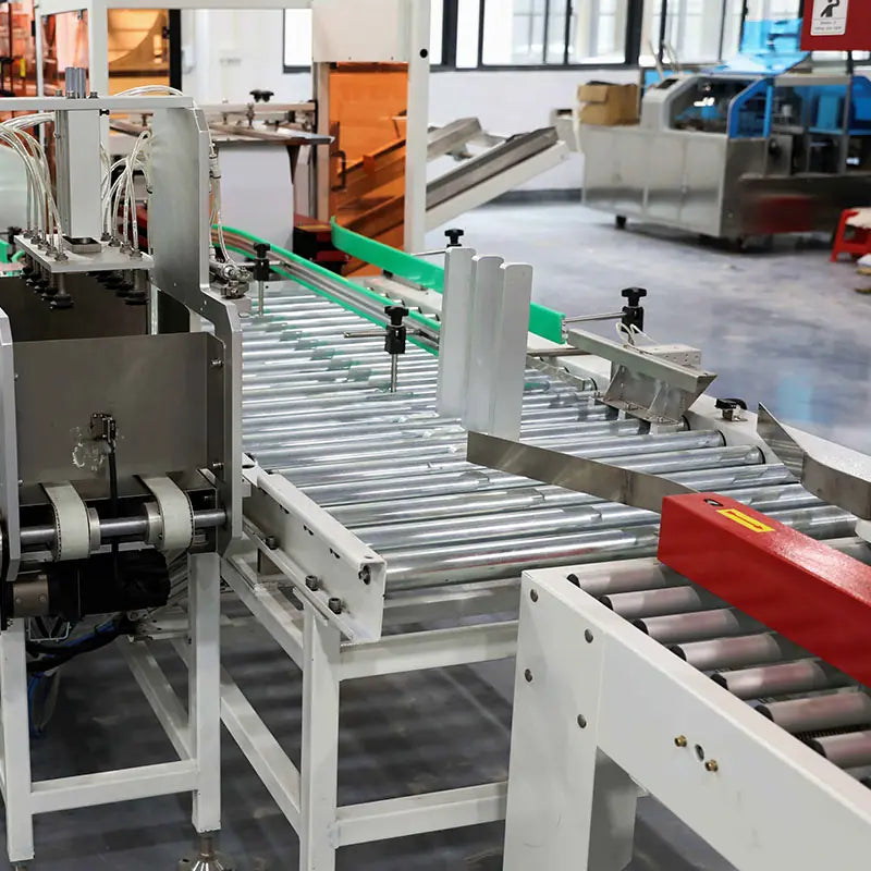 Automatic Cartoning and Case Packing System End of Line Packaging Machinery