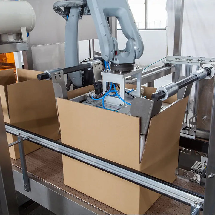 Professional Box Case Packing System For Packaging Line Automation