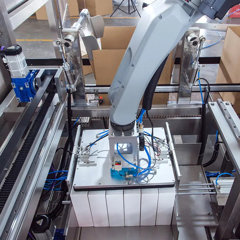 Professional Box Case Packing System For Packaging Line Automation