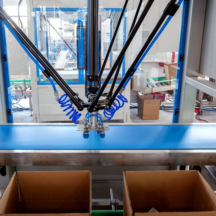 case packing robot