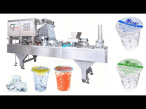 ice cube filling machine