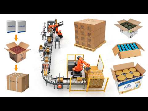 Fully Automatic Case Packing Robot Palletizing Packing Systems Packaging Line