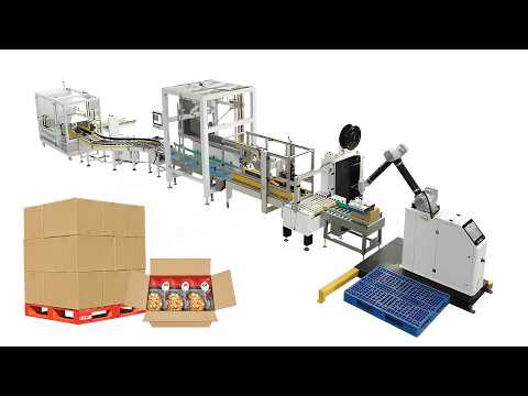 Automatic Case Packing System with Delta Robot Case Packer, Carton Sealer and Robot Palletizer