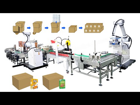 Automatic Robotic Case Packing System with Case Erecting, Sealing and Palletizing