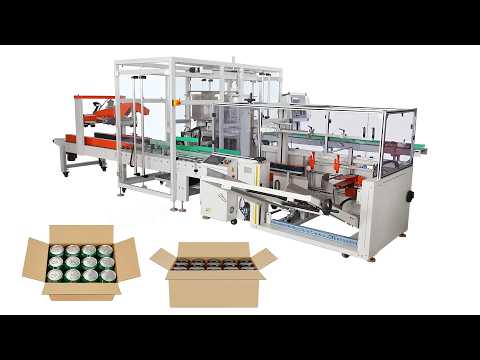 case packing system
